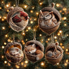 Acorn Dreams
